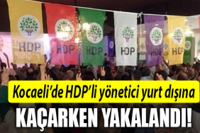 kocaeli hdp