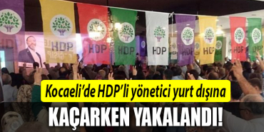 kocaeli hdp