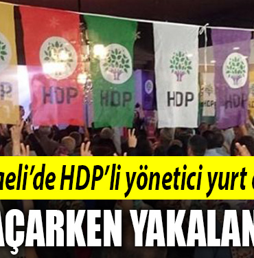 kocaeli hdp