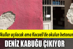 kocaeli oku lş