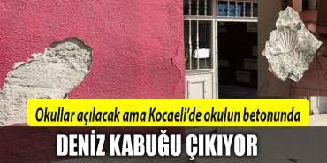 kocaeli oku lş