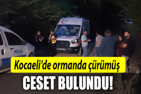 kocaeli ormannnnnn