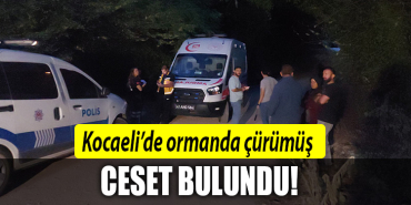 kocaeli ormannnnnn