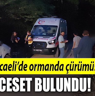 kocaeli ormannnnnn