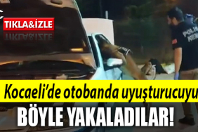 kocaeli otoban