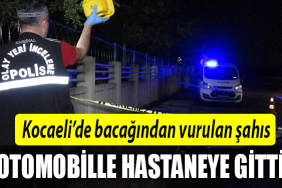 kocaeli otomobil