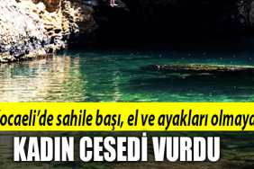 kocaeli sahil