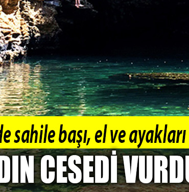 kocaeli sahil