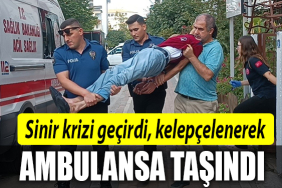 kocaeli sinir krizi