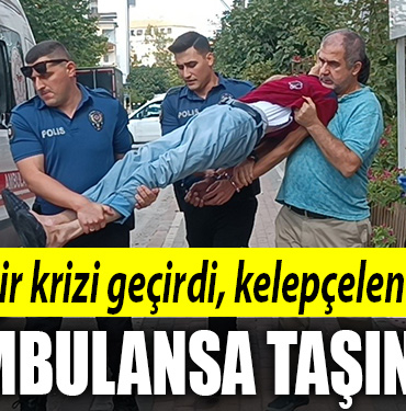kocaeli sinir krizi