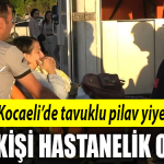 kocaeli tavuk pilav
