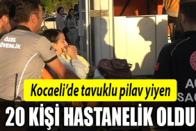 kocaeli tavuk pilav
