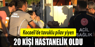 kocaeli tavuk pilav