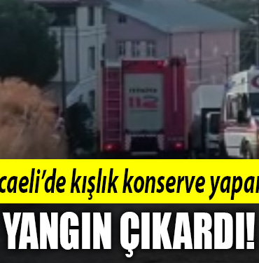 kocaeli yangın