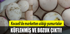 kocaeli yuöurta
