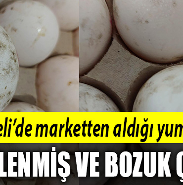 kocaeli yuöurta