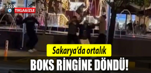 sakarya kavga