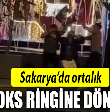 sakarya kavga