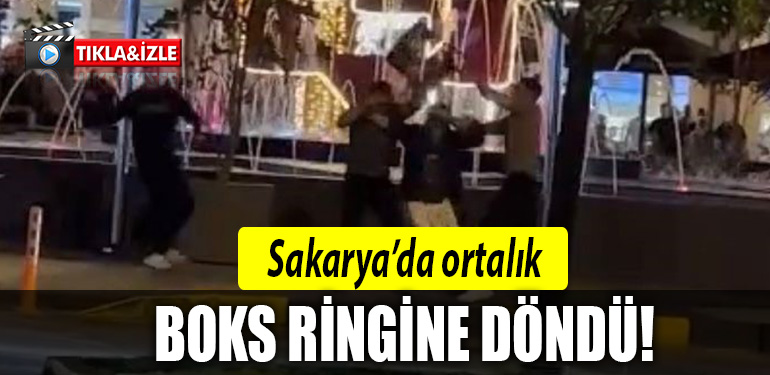 sakarya kavga