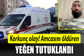sapanca amca cinayeti