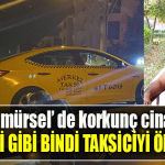 Kocaeli' de korkunç cinayet. Müşteri gibi bindi, taksiciyi öldürdü