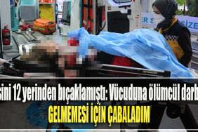 Kocaeli'de Eşini 12 yerinden bıçaklamıştı Vücuduna ölümcül darbe gelmemesi için çabaladım