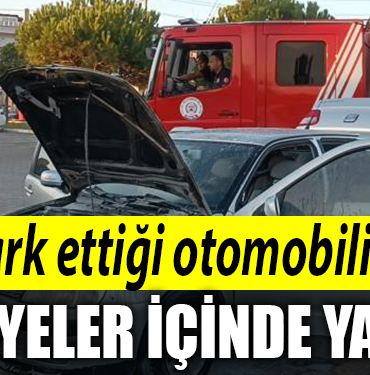 PARK