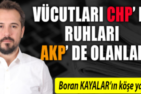 boran kayalar köşe yazısı