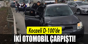 kocaeli d 100