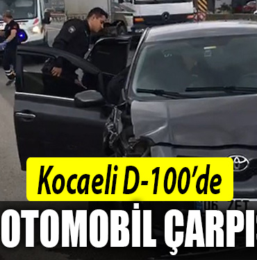 kocaeli d 100