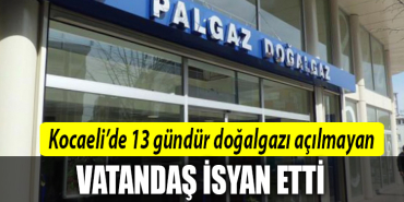 kocaeli doğalgaz
