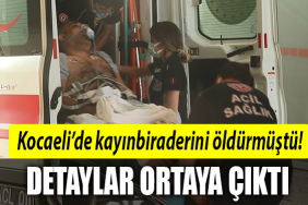 kocaeli kayn