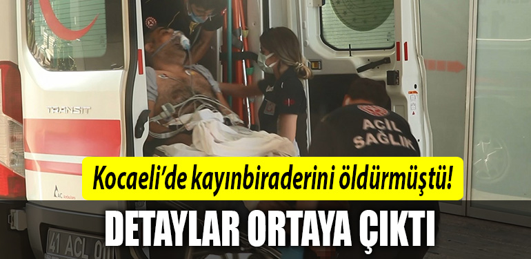 kocaeli kayn