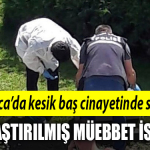 kocaeli sapanca
