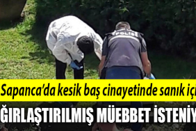 kocaeli sapanca