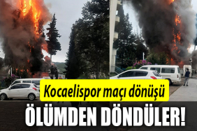 kocaelisporrrr