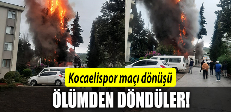 kocaelisporrrr