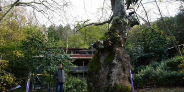 500 yillik cinarin ilginc hikayesi lDFmFXv7.jpg