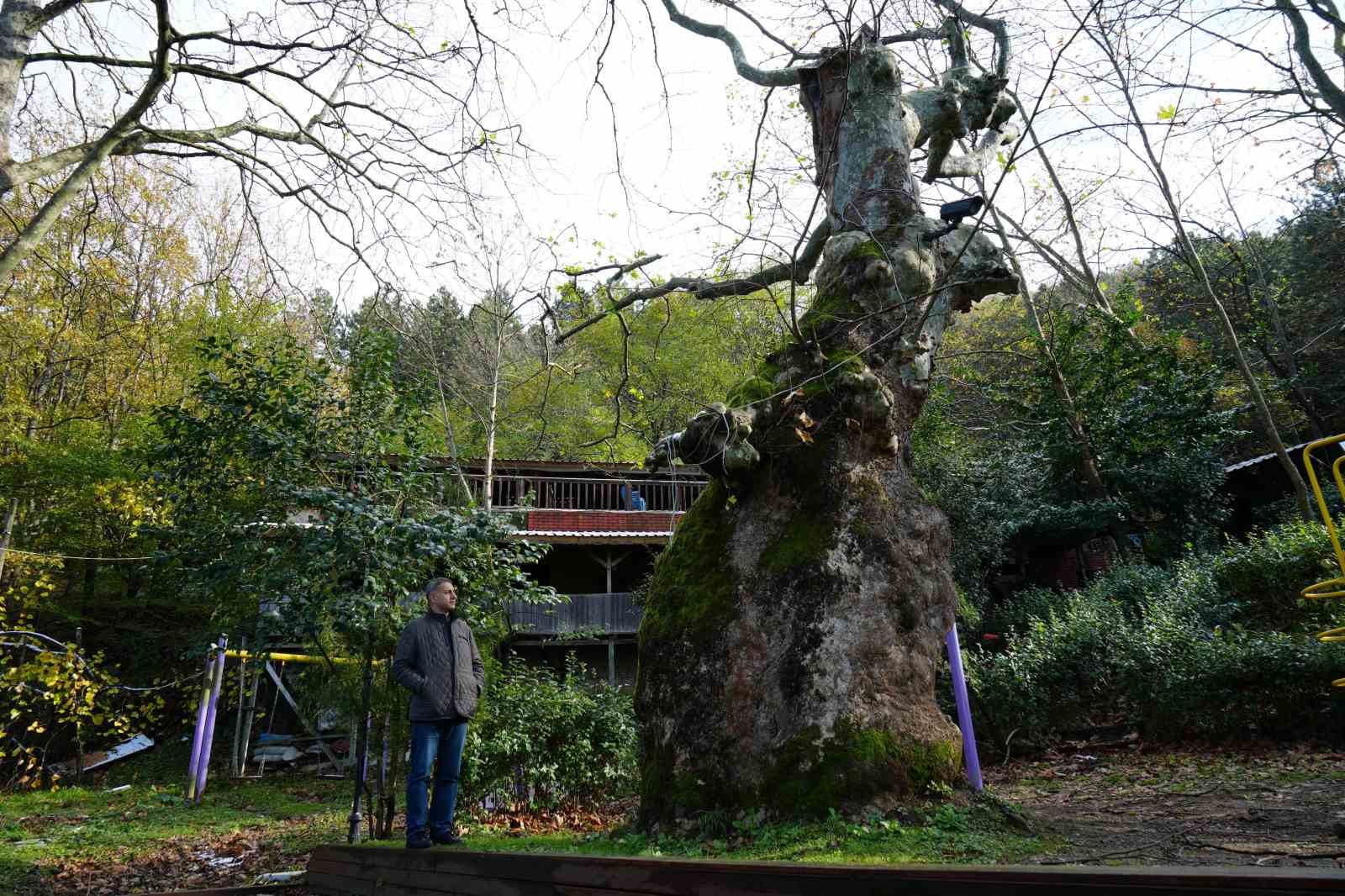 500 yillik cinarin ilginc hikayesi lDFmFXv7.jpg