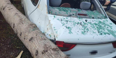 AĞAÇ 2 OTOMOBİLİN ÜSTÜNE DEVRİLDİ: SÜRÜCÜ YARA ALMADAN KURTULDU