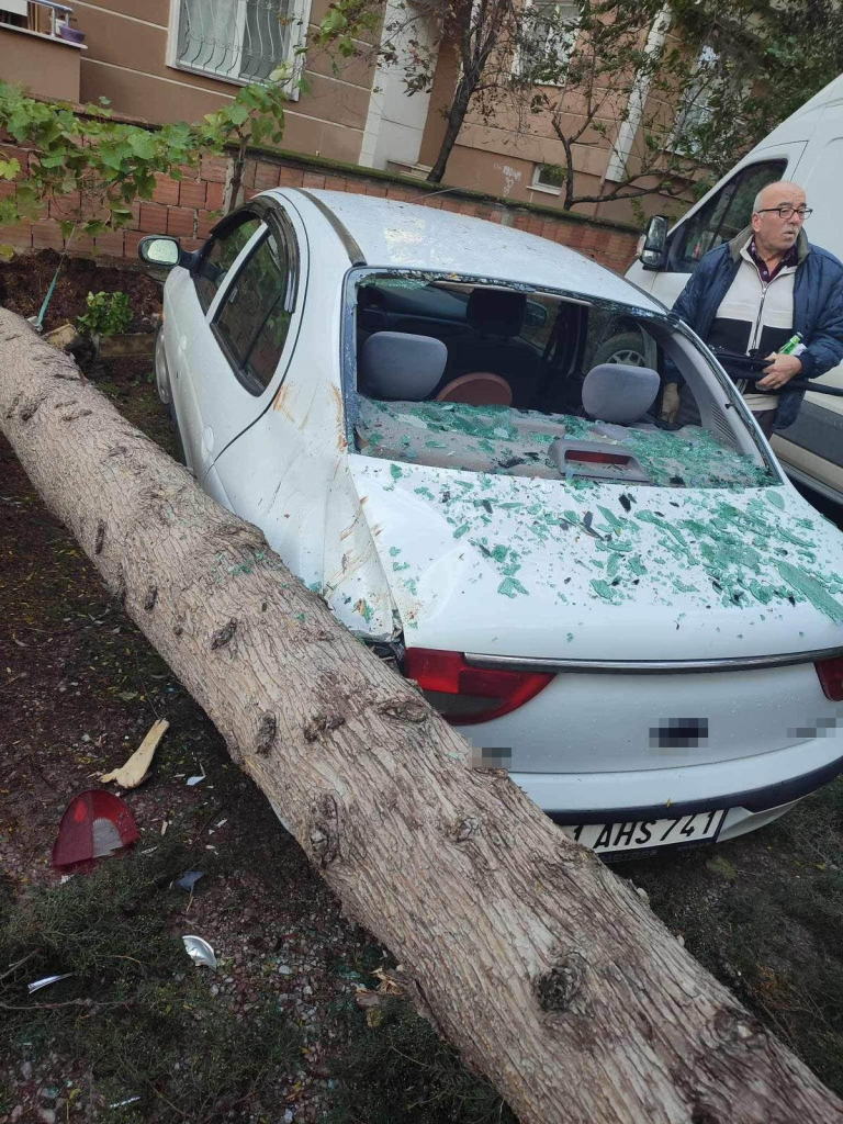 AĞAÇ 2 OTOMOBİLİN ÜSTÜNE DEVRİLDİ: SÜRÜCÜ YARA ALMADAN KURTULDU