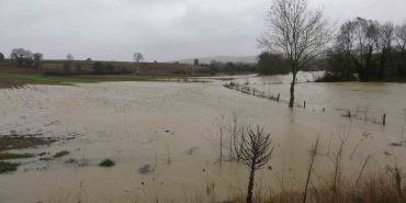 kocaelide firtinanin bilancosu 25 su baskini 26 agac devrilmesi ve 31 trafik kazasi WRewKjDA.jpg