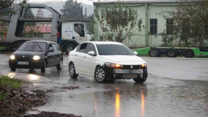 kocaelide siddetli ruzgar agaci kokunden soktu C8ZQ5Feb.jpg