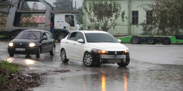 kocaelide siddetli ruzgar agaci kokunden soktu C8ZQ5Feb.jpg