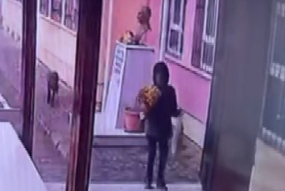 minik ogrenci ataturkun ogretmenler gununu boyle kutladi PRAemZNh.jpg