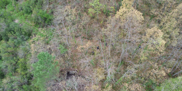 ormanin icindeki havuza dusen yavru ayi boyle kurtarildi Cgw4e8Kt.jpg