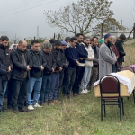 sinop