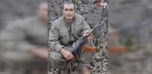 mıt