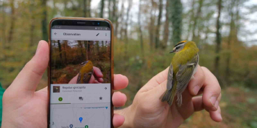 ormanyada yeni canli turleri kesfedildi IGTzhLB4.jpg