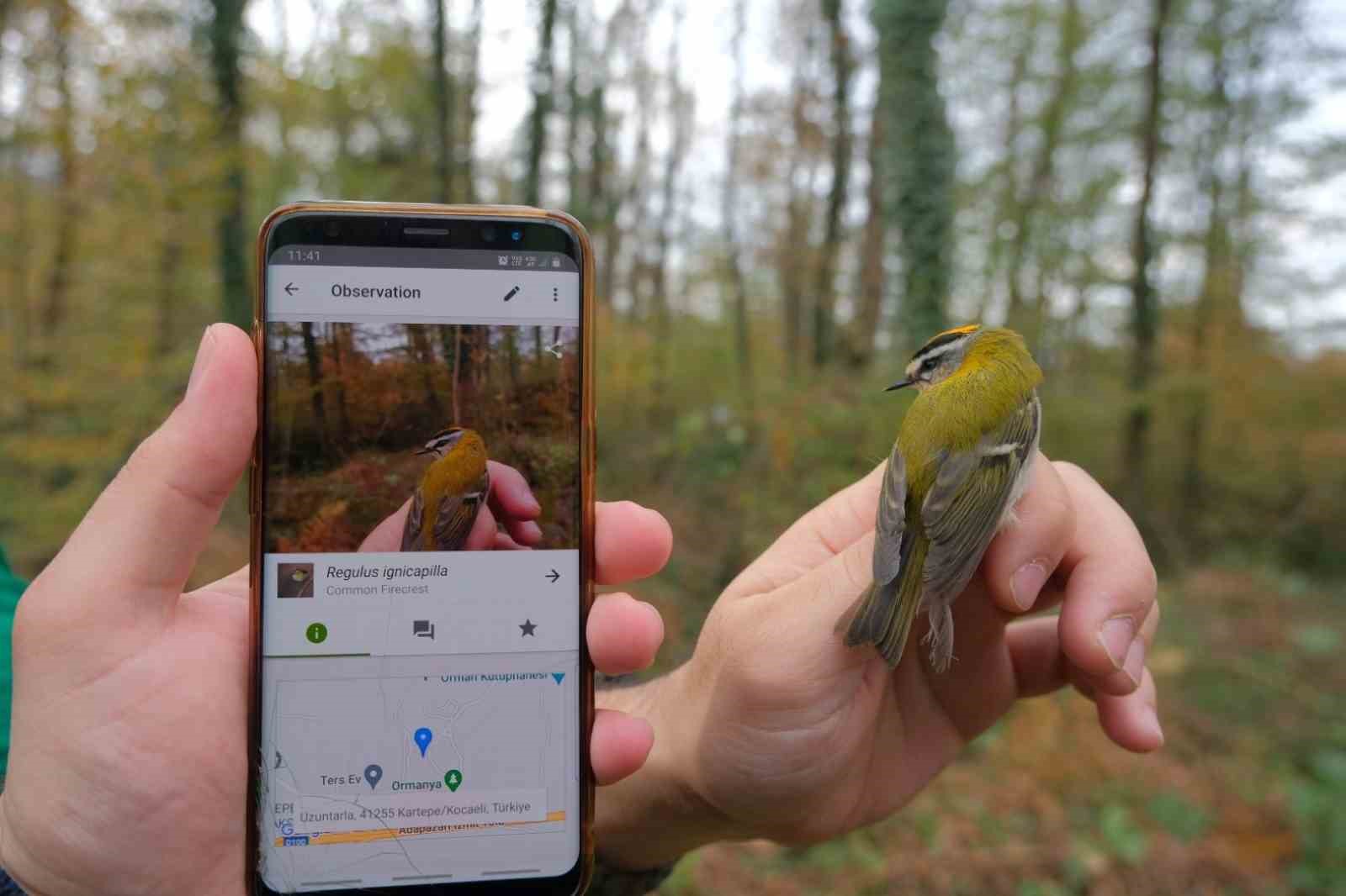 ormanyada yeni canli turleri kesfedildi IGTzhLB4.jpg